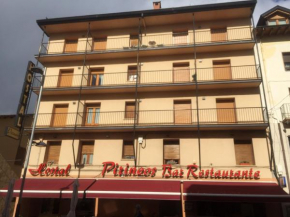  Hostal Pirineos Ainsa  Аинса-Собрарбе